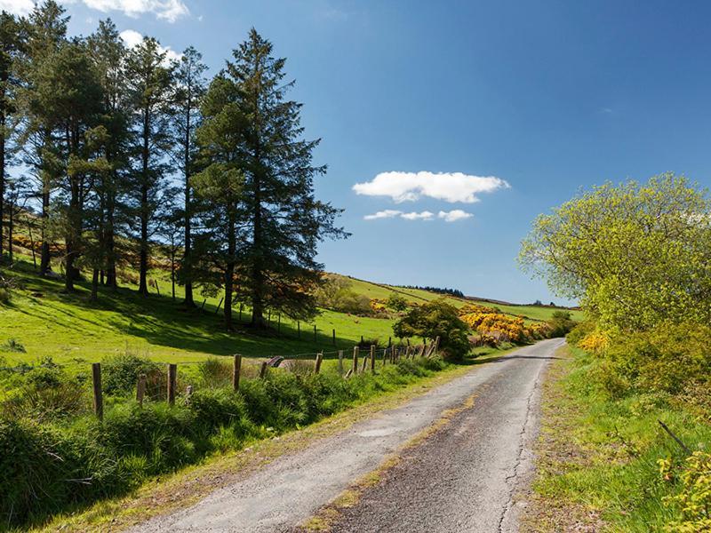 Curradoon House Villa Ballynamult Bagian luar foto